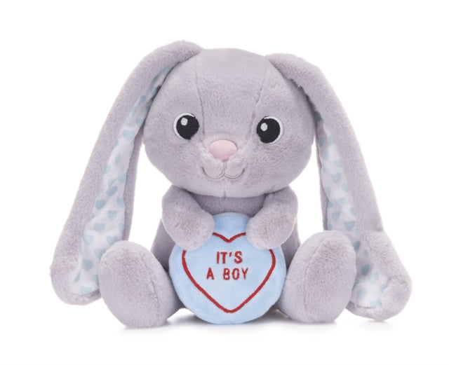 Book cover of: Love Hearts 7" Baby Boy Bunny Plush Gift