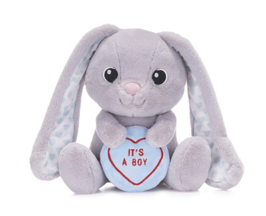 Book cover of: Love Hearts 7" Baby Boy Bunny Plush Gift