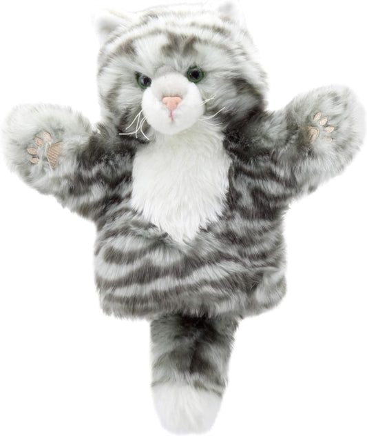 Book cover of: Tabby Cat