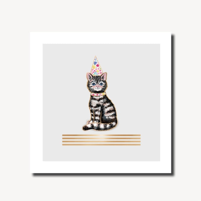 Book cover of: Brook Lane Cat Party Hat