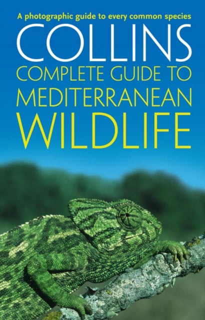 Complete Mediterranean Wildlife
