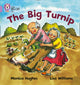Book cover of: Big Turnip. By: Monica Hughes