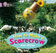 Book cover of: How To Make a Scarecrow