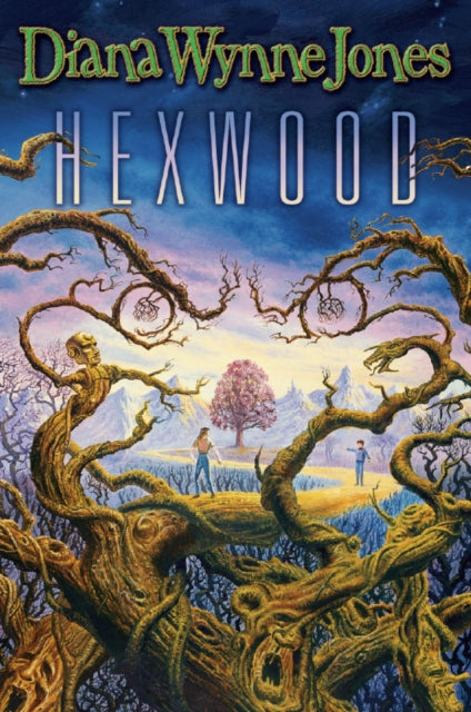 Book cover of: Hexwood. By: Diana Wynne Jones