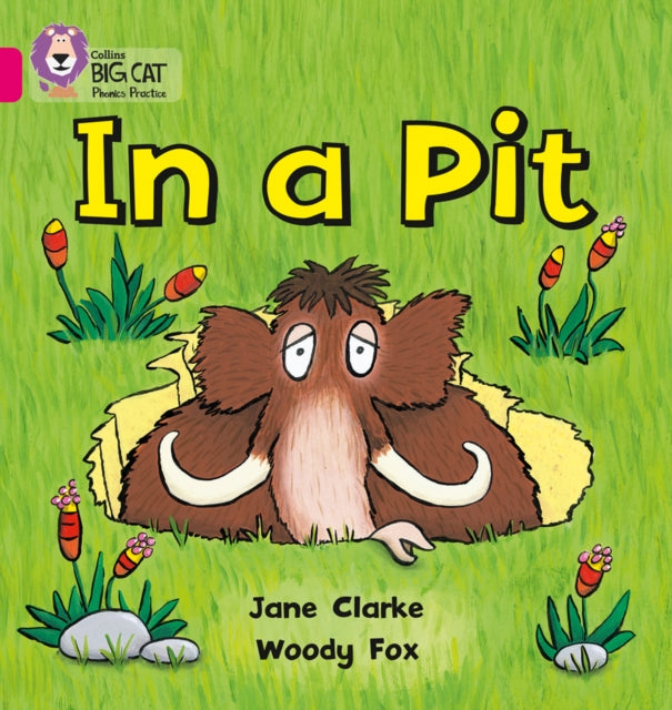 Book cover of: In a Pit. By: Jane Clarke