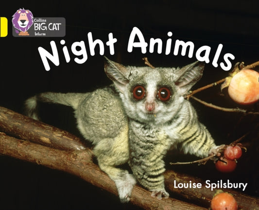 Book cover of: Night Animals. By: Louise Spilsbury