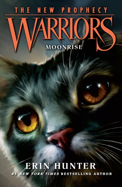 MOONRISE 9780007419234 Erin Hunter