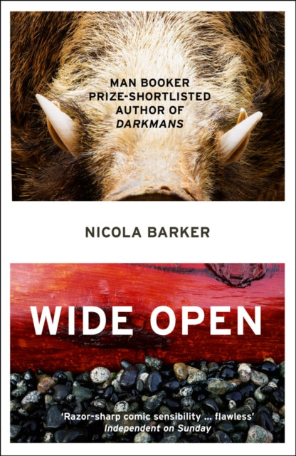 Book cover of: Wide Open. By: Nicola Barker