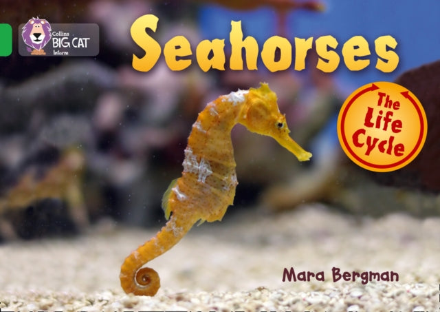 Book cover of: Seahorses. By: Mara Bergman