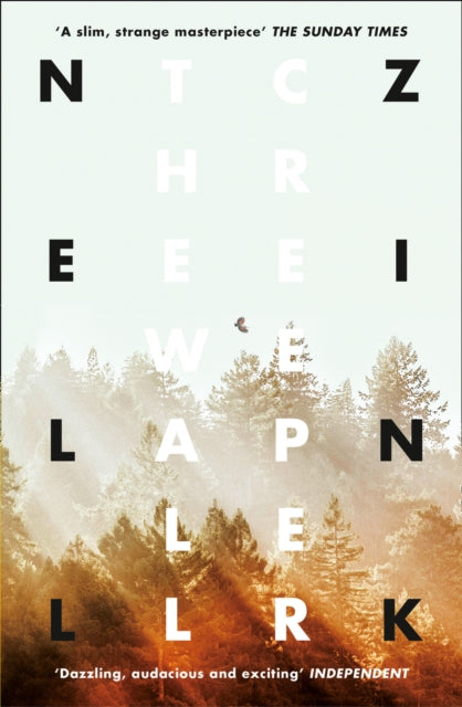 Book cover of: Wallcreeper. By: Nell Zink