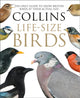 Book cover of: Collins Life-Size Birds. By: Paul Sterry