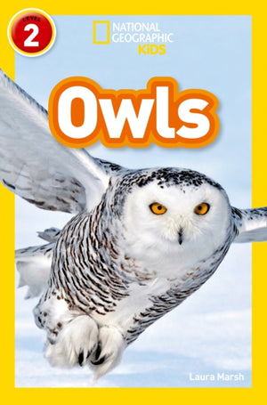 Owls, Level 2