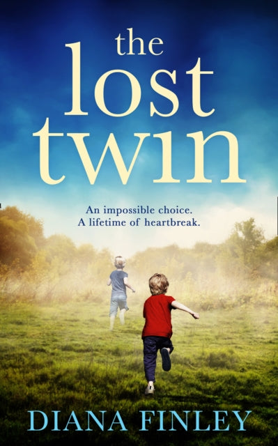 Book cover of: Lost Twin. By: Diana Finley