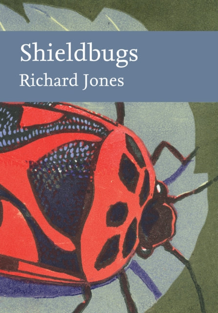 Book cover of: Shieldbugs. By: Jones, Richard