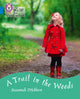 Book cover of: Trail in the Woods. By: Suzannah Ditchburn