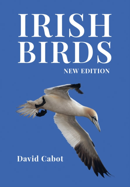 Book cover of: Irish Birds. By: David Cabot