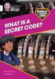 Book cover of: Shinoy and the Chaos Crew: What is a secret code?. By: Stevie Derrick