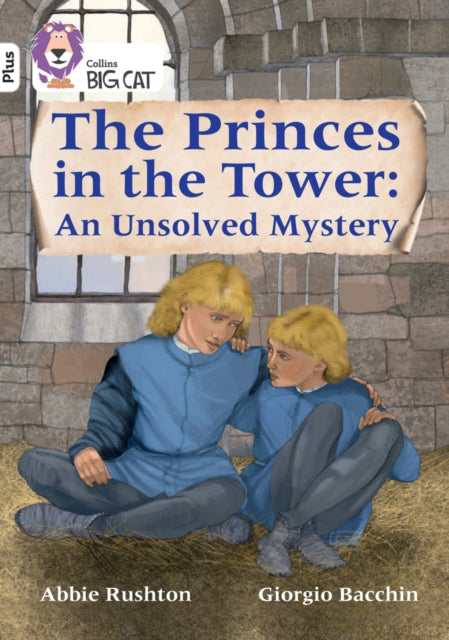 Book cover of: Princes in the Tower: An Unsolved Mystery. By: Abbie Rushton