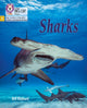 Book cover of: Sharks. By: Ben Hubbard