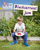 Book cover of: Blackcurrant Jam. By: Louise Spilsbury