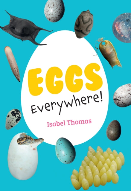 Book cover of: Eggs Everywhere!. By: Collins Big Cat