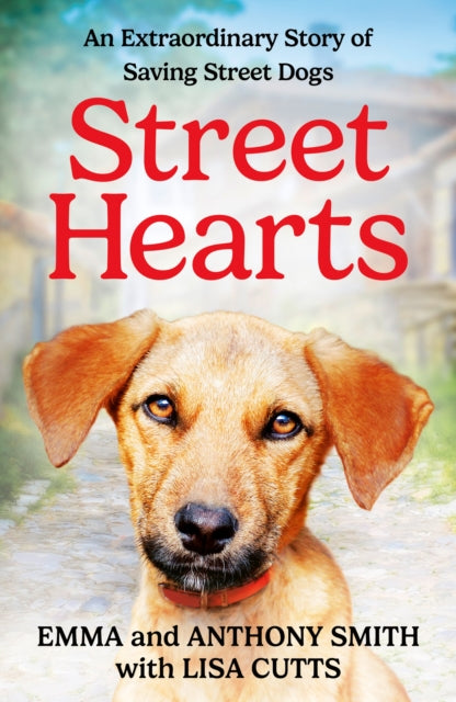 Book cover of: Street Hearts