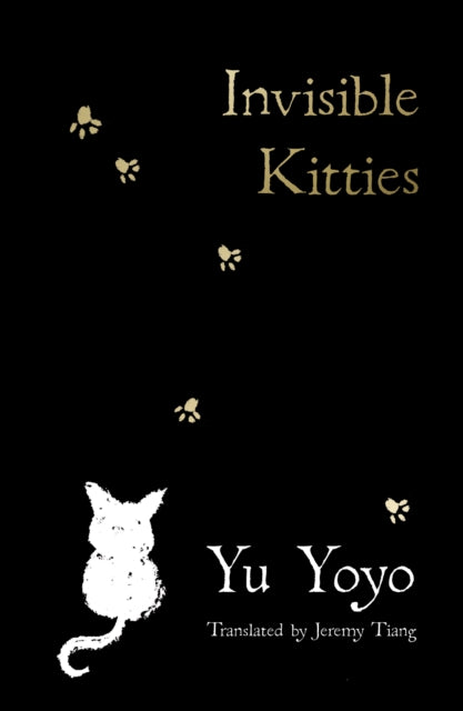Invisible Kitties 9780008719302 Yu Yoyo