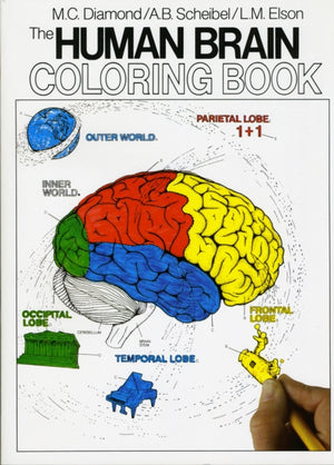 Human Brain Coloring Book
