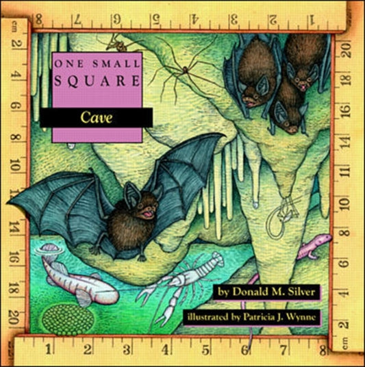 Book cover of: Cave. By: Donald M. Silver