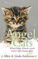 Book cover of: Angel Cats. By: Allen Anderson