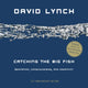 Catching the Big Fish, Meditation, Consciousness, and Creativity 9780143130147 David Lynch