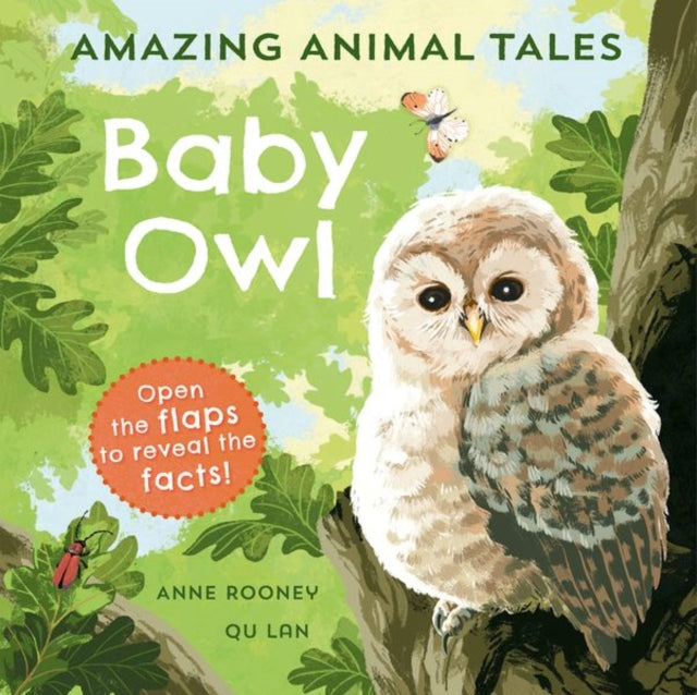 Book cover of: Amazing Animal Tales: Baby Owl. By: Anne Rooney