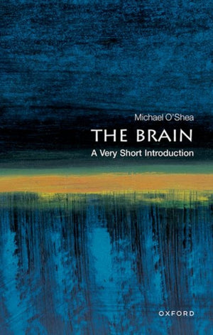 Brain