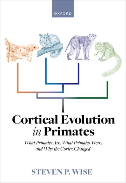 Book cover of: Cortical Evolution in Primates. By: Steven P. Wise