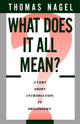 Book cover of: What Does It All Mean?