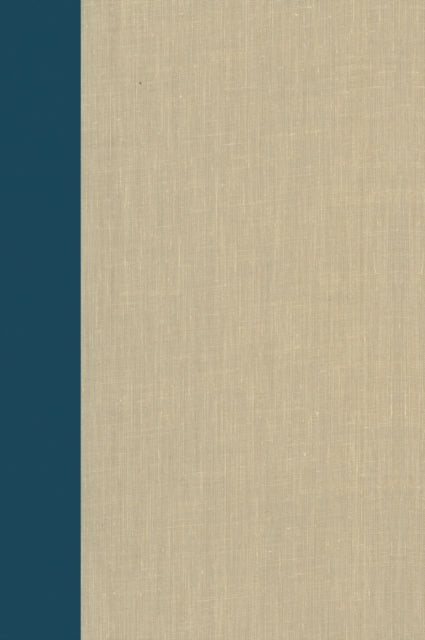 Book cover of: Terrorism Documents of International and Local Control Volume 99. By: Douglas C. Lovelace Jr.