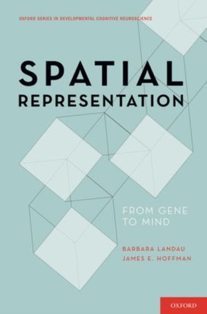 Spatial Representation
