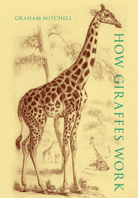Book cover of: How Giraffes Work. By: Graham Mitchell