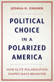 Book cover of: Political Choice in a Polarized America. By: Joshua N. Zingher