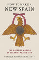Book cover of: How to Make a New Spain. By: Enrique Rodríguez-Alegría