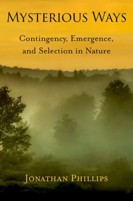 Book cover of: Mysterious Ways