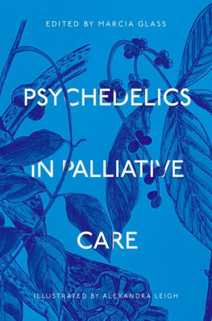 Book cover of: Psychedelics in Palliative Care