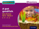 Book cover of: Read Write Inc. Phonics: A Pet Goldfish (Purple Set 2 Non-fiction 3). By: Gill Munton