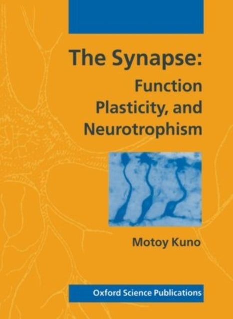 Book cover of: Synapse. By: Motoy Kuno