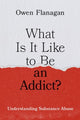 Book cover of: What Is It Like to Be an Addict?. By: Owen Flanagan