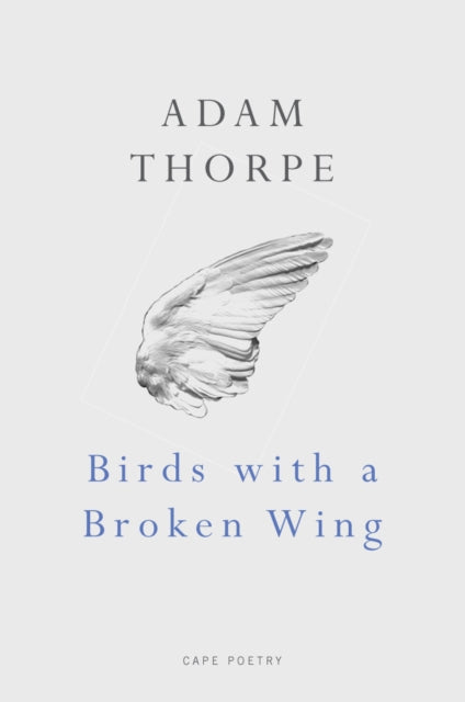 Book cover of: Birds With A Broken Wing. By: Adam Thorpe