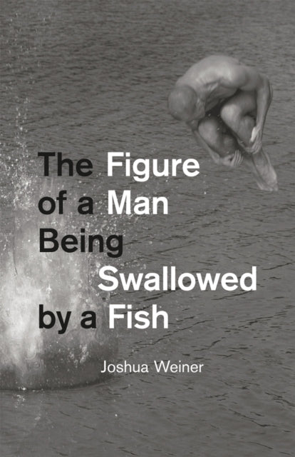 Book cover of: Figure of a Man Being Swallowed by a Fish. By: Joshua Weiner