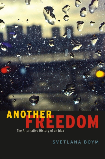 Book cover of: Another Freedom. By: Svetlana Boym