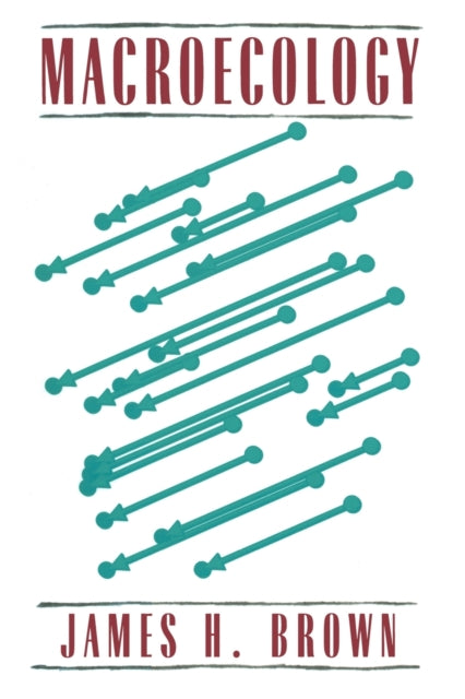 Book cover of: Macroecology