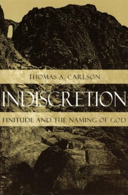 Book cover of: Indiscretion